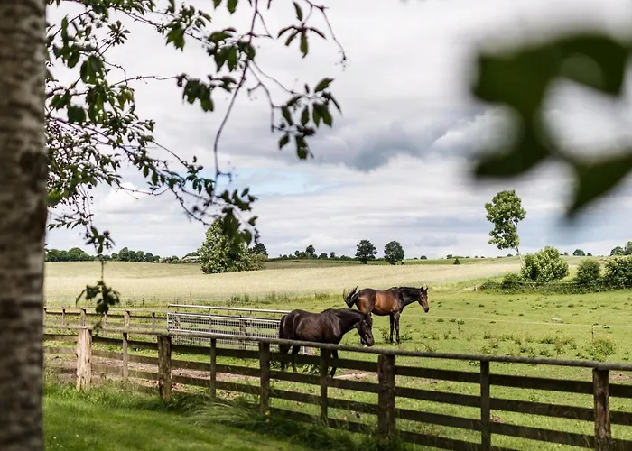 Appartement Gut Royum *
